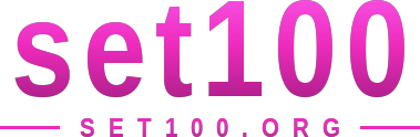 set100 logo